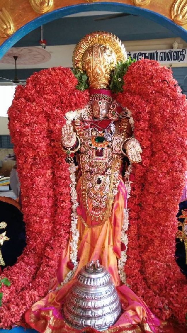 Taramani Sri Prasanna Venkatesa Perumal Temple Brahmotsavam Day 3 2015 -09
