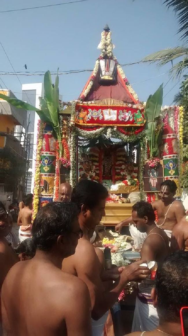 Taramani Sri Prasanna Venkatesa Perumal Temple Thai Brahmotsavam day 7 2015 -06