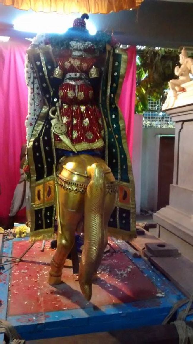 Taramani Sri Prasanna Venkatesa Perumal Temple Thai Brahmotsavam day 8 2015 -01