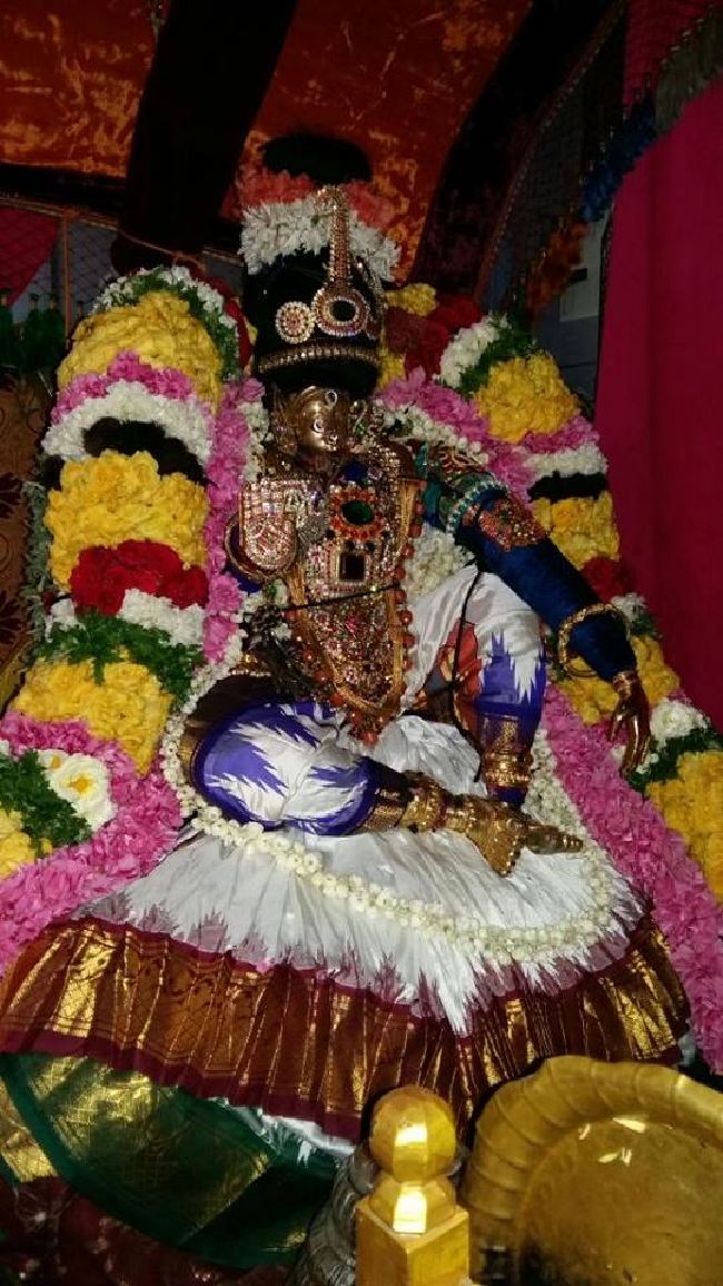 Taramani Sri Prasanna Venkatesa Perumal TempleThai Brahmotsavam 5 Mor  2015 -3
