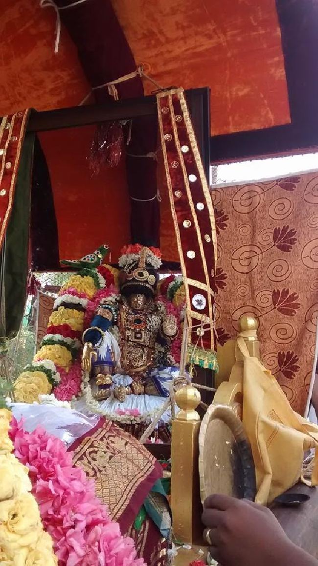 Taramani Sri Prasanna Venkatesa Perumal TempleThai Brahmotsavam 5 Mor  2015 -4