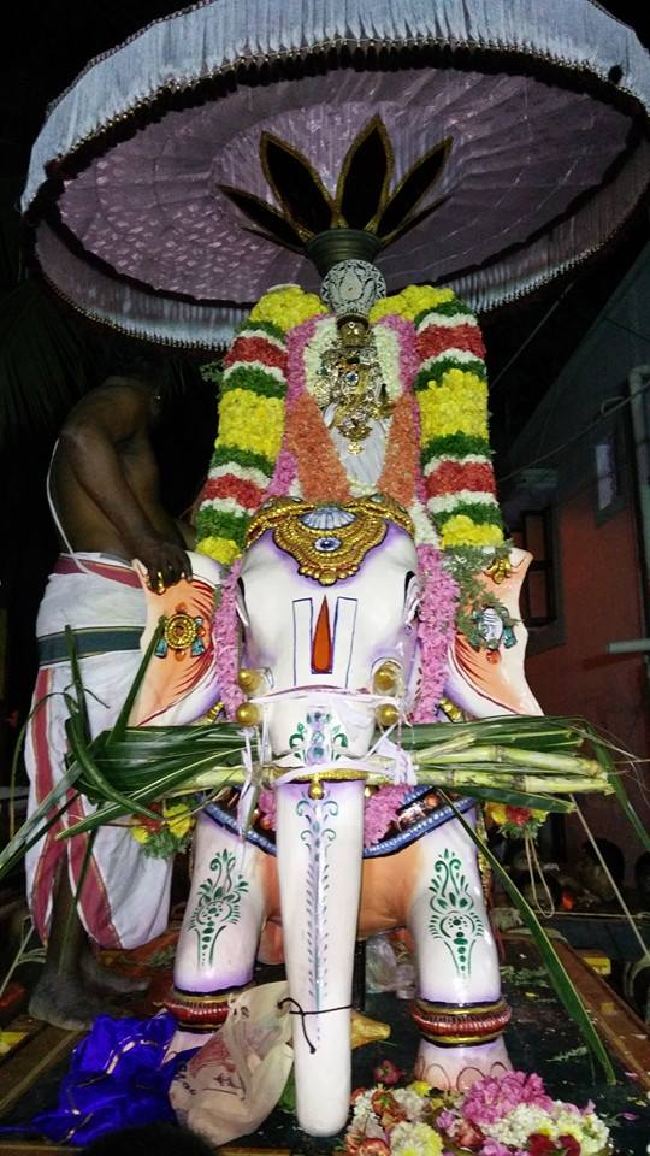 Taramani Sri Prasanna Venkatesa Perumal TempleThai Brahmotsavam 6  2015 -01