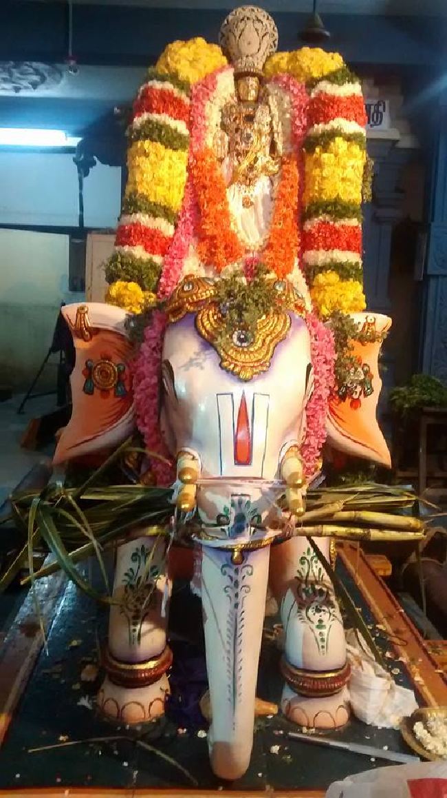Taramani Sri Prasanna Venkatesa Perumal TempleThai Brahmotsavam 6  2015 -02