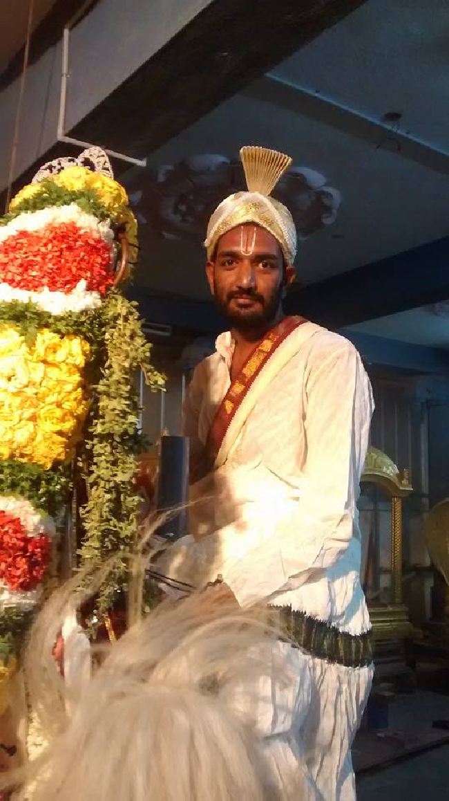Taramani Sri Prasanna Venkatesa Perumal TempleThai Brahmotsavam 6  2015 -04