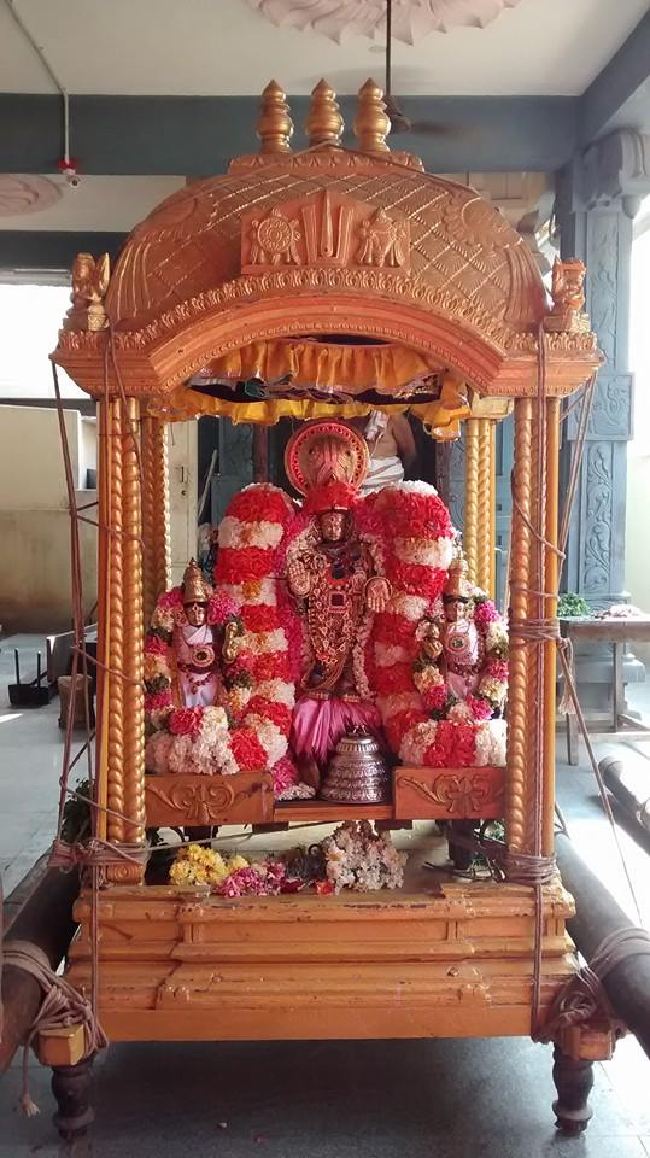 Taramani Sri Prasanna Venkatesa Perumal TempleThai Brahmotsavam 6  2015 -06