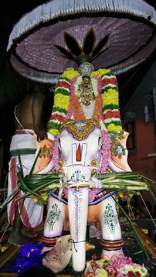 Taramani Sri Prasanna Venkatesa Perumal TempleThai Brahmotsavam 6  2015 -07