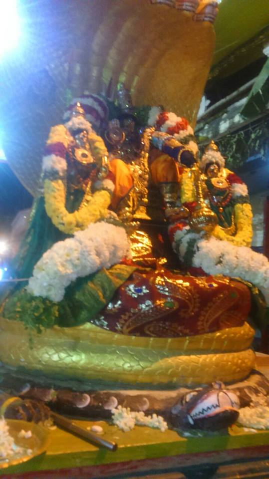 Taramani sri Prasanna venkatesa Perumal temple brahmotsavam day 2 2015 -04