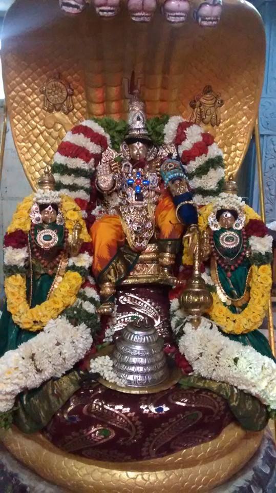 Taramani sri Prasanna venkatesa Perumal temple brahmotsavam day 2 2015 -07