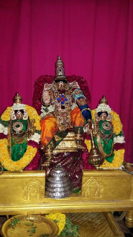 Taramani sri Prasanna venkatesa Perumal temple brahmotsavam day 2 2015 -08