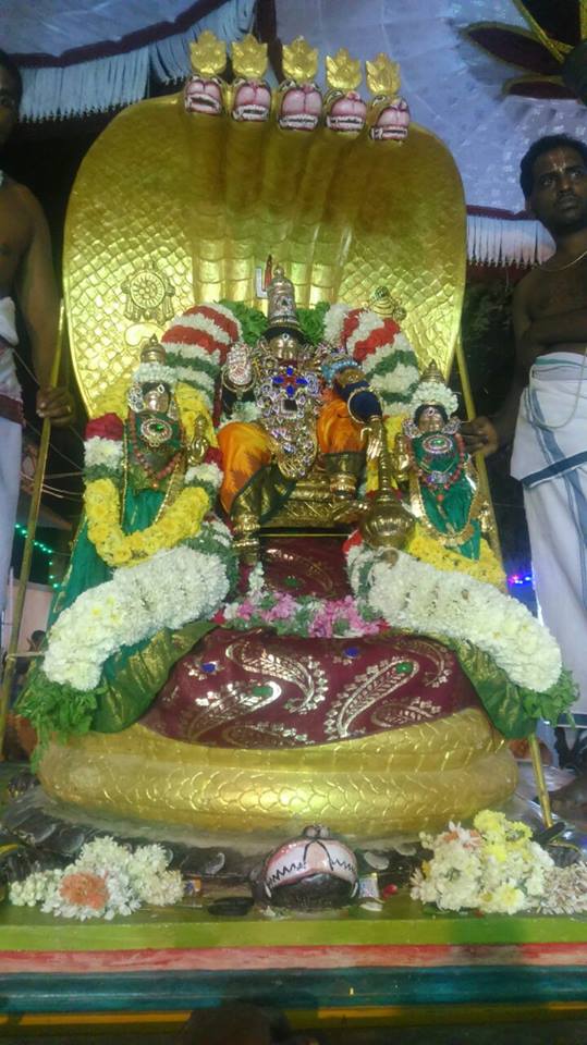 Taramani sri Prasanna venkatesa Perumal temple brahmotsavam day 2 2015 -11