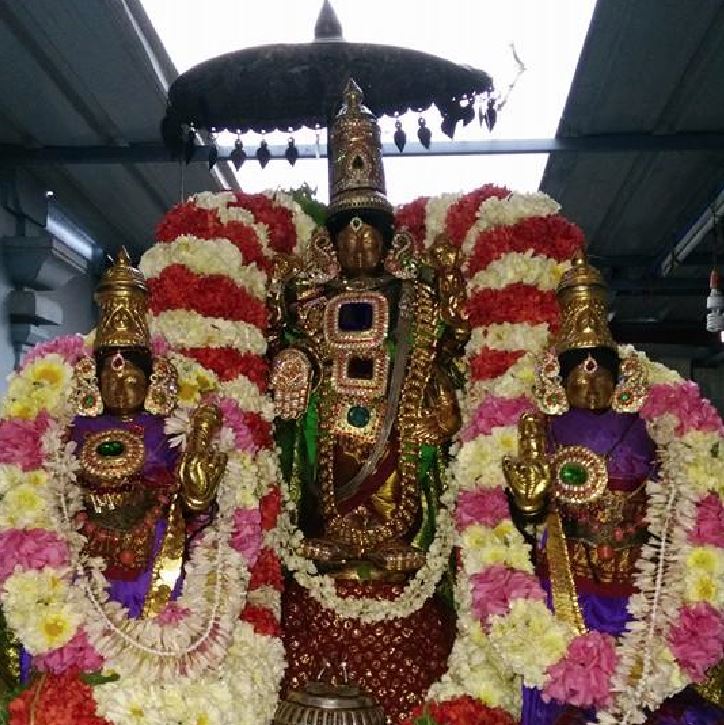 Taramani temple brahmotsavam 2015