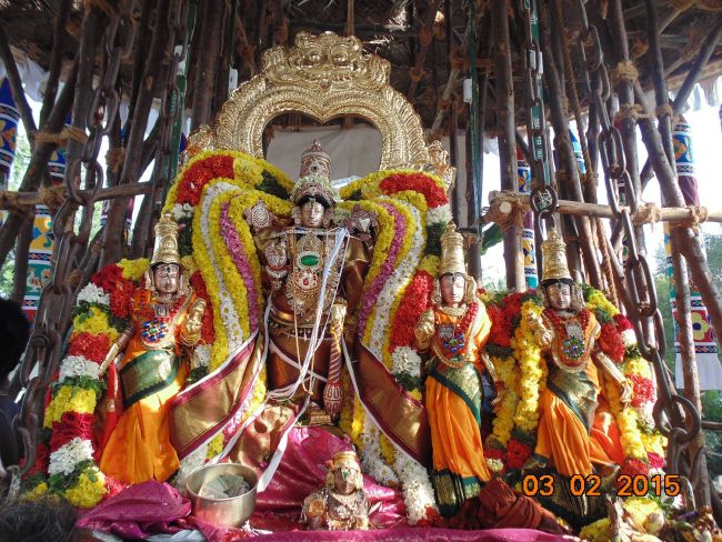 Thirucherai Sri Saranatha Perumal Temple THiruther 2015-04