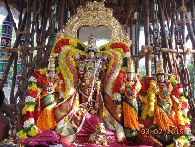Thirucherai Sri Saranatha Perumal Temple THiruther 2015-13