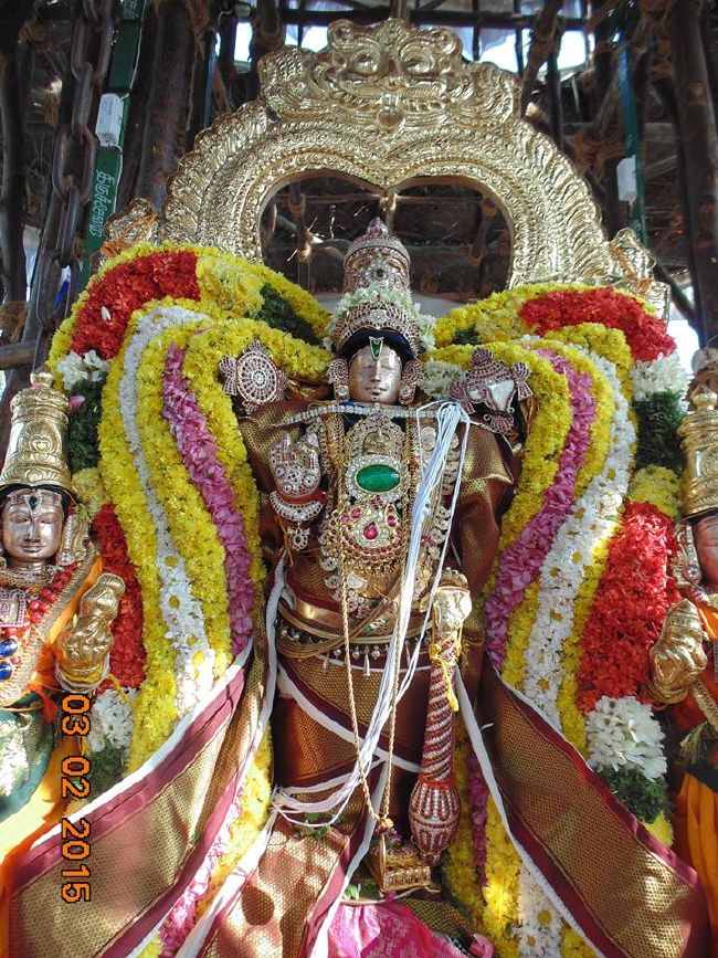 Thirucherai Sri Saranatha Perumal Temple THiruther 2015-15