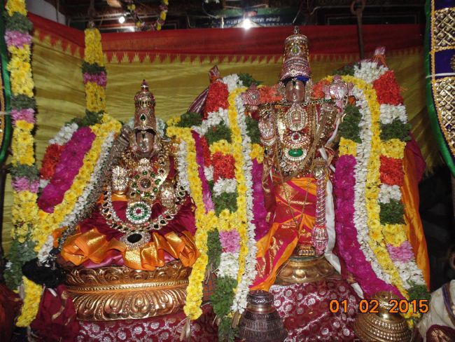 Thirucherai Sri Saranatha Perumal Temple Thai Brahmotsavam Serthi Sevai 2015-02