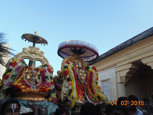 Thirucherai Sri Saranatha Perumal Temple Thai Brahmotsavam Serthi Sevai 2015-07