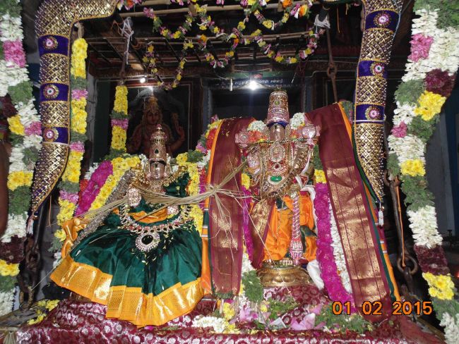 Thirucherai Sri Saranatha Perumal Temple Thai Brahmotsavam Serthi Sevai 2015-08