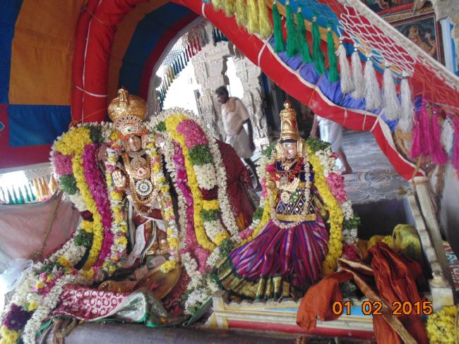 Thirucherai Sri Saranatha Perumal Temple Thai Brahmotsavam Serthi Sevai 2015-13