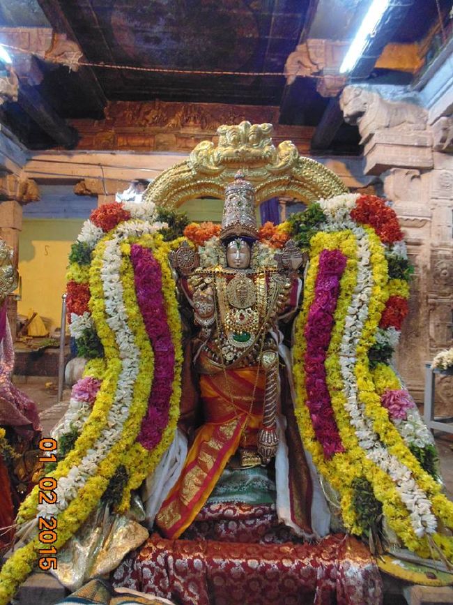 Thirucherai Sri Saranatha Perumal Temple Thai Brahmotsavam Serthi Sevai 2015-24