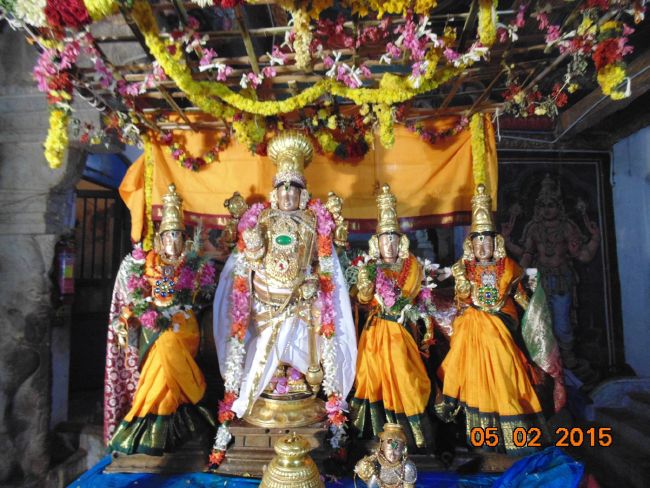 Thirucherai Sri Saranatha Perumal Temple Thai Brahmotsavam day 10 2015-13