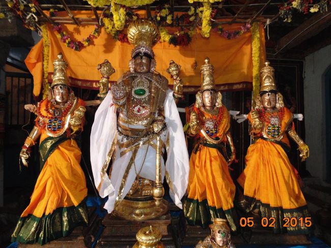 Thirucherai Sri Saranatha Perumal Temple Thai Brahmotsavam day 10 2015-24
