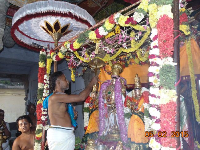 Thirucherai Sri Saranatha Perumal Temple Thai Brahmotsavam day 10 2015-37