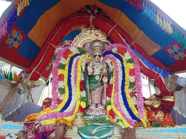 Thirucherai Sri Saranatha Perumal Temple Thai brahmotsavam Garuda Vahanam 2015-05