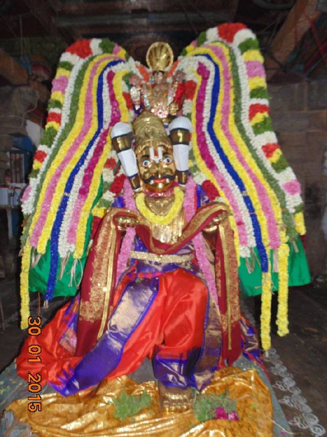 Thirucherai Sri Saranatha Perumal Temple Thai brahmotsavam Garuda Vahanam 2015-08