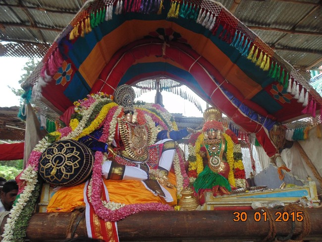 Thirucherai Sri Saranatha Perumal Temple Thai brahmotsavam Hanumantha  Vahanam 2015-1