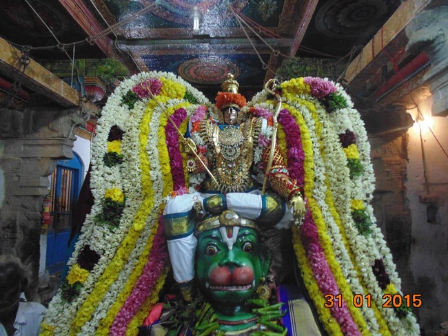 Thirucherai Sri Saranatha Perumal Temple Thai brahmotsavam Hanumantha  Vahanam 2015-2