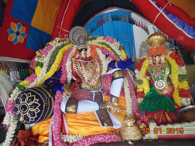 Thirucherai Sri Saranatha Perumal Temple Thai brahmotsavam Hanumantha  Vahanam 2015-3