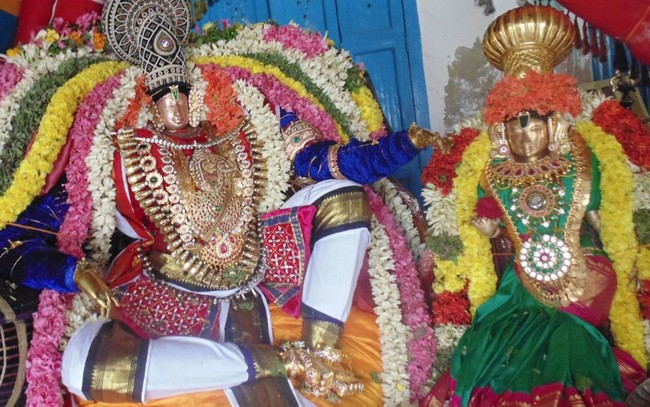 Thirucherai Sri Saranatha Perumal Temple Thai brahmotsavam Hanumantha  Vahanam 2015-4