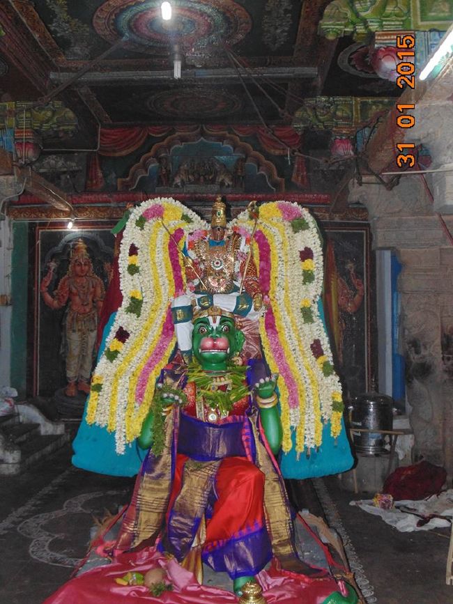 Thirucherai Sri Saranatha Perumal Temple Thai brahmotsavam Hanumantha  Vahanam 2015-8
