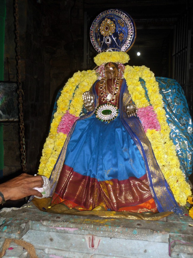 Thirukannamangai Sri Abhishekavalli Thayar THai velli Purappadu-2015-22