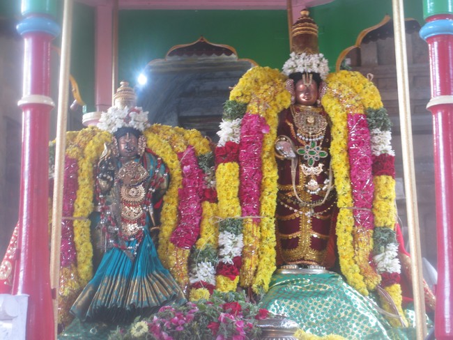 Thirunaraiyur Srinivasa Perumal Kanu PUrappadu 2015-1