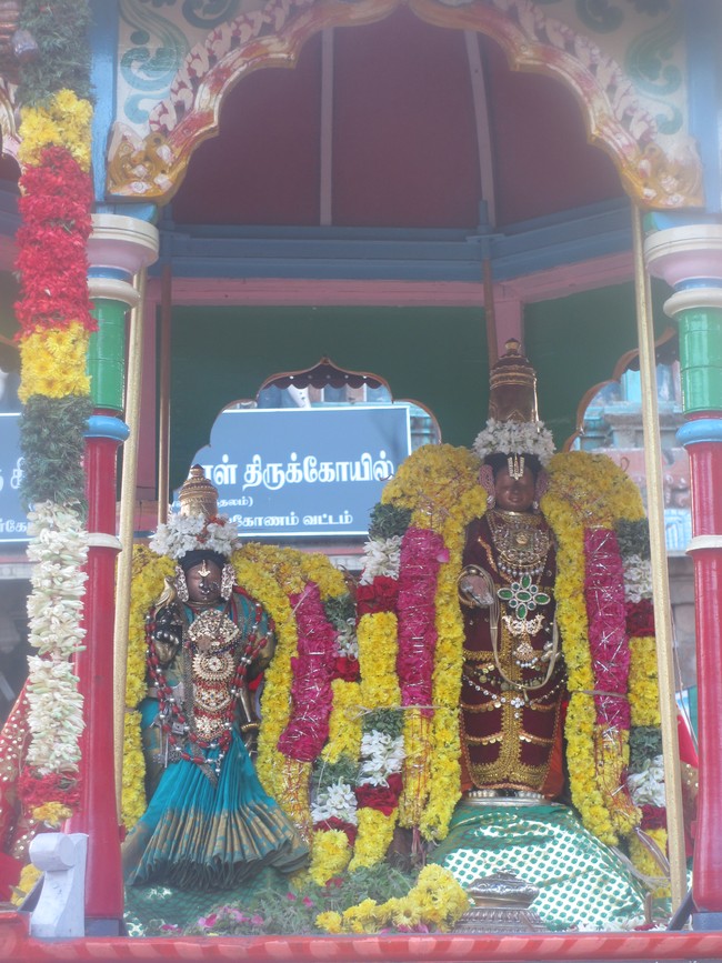 Thirunaraiyur Srinivasa Perumal Kanu PUrappadu 2015-4