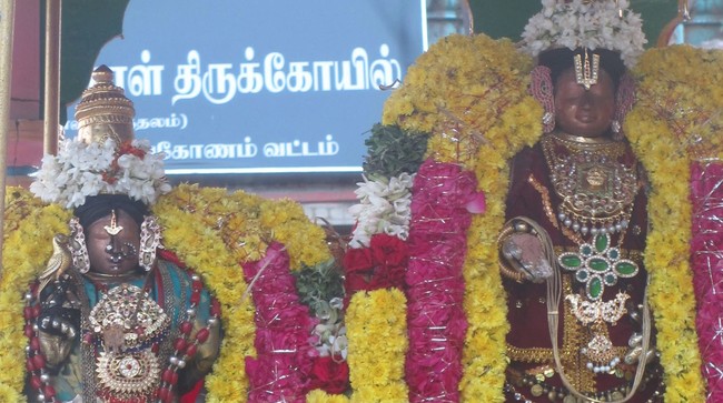 Thirunaraiyur Srinivasa Perumal Kanu PUrappadu 2015-5