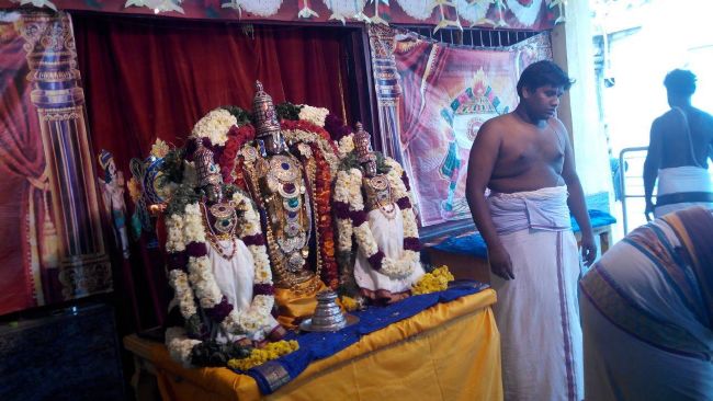 Thiruparkadal Sri Prasanna Venkatesa Perumal Temple Thirukalyanotsavam 2015-02