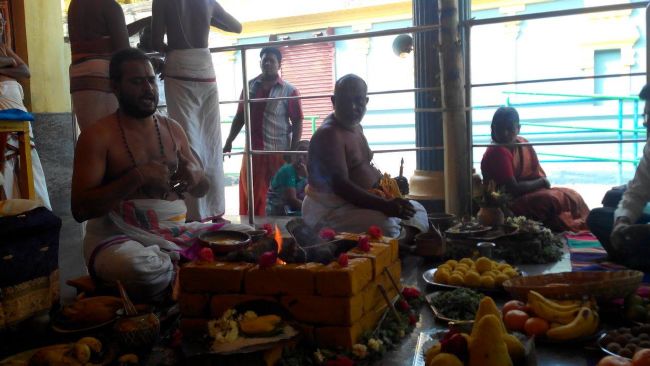 Thiruparkadal Sri Prasanna Venkatesa Perumal Temple Thirukalyanotsavam 2015-03