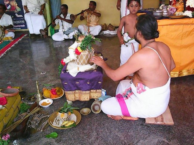 Thiruparkadal Sri Prasanna Venkatesa Perumal Temple Thirukalyanotsavam 2015-09