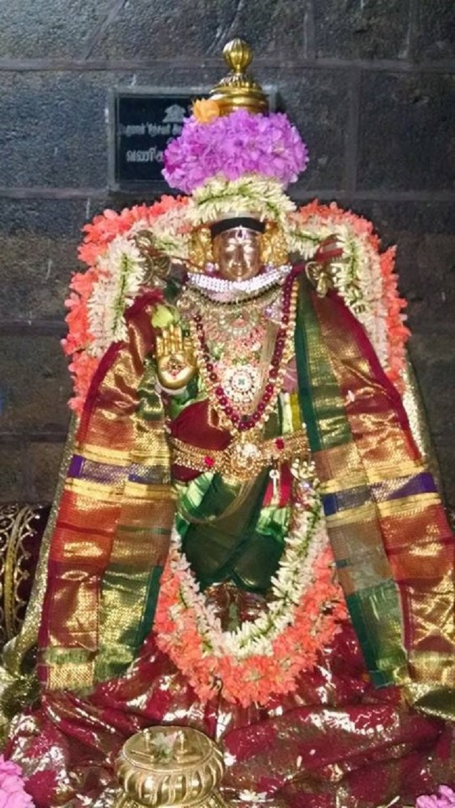 Thiruvahindrapuram Sri Devanathan Perumal Temple Masi Masa Ammavasai Purappadu2