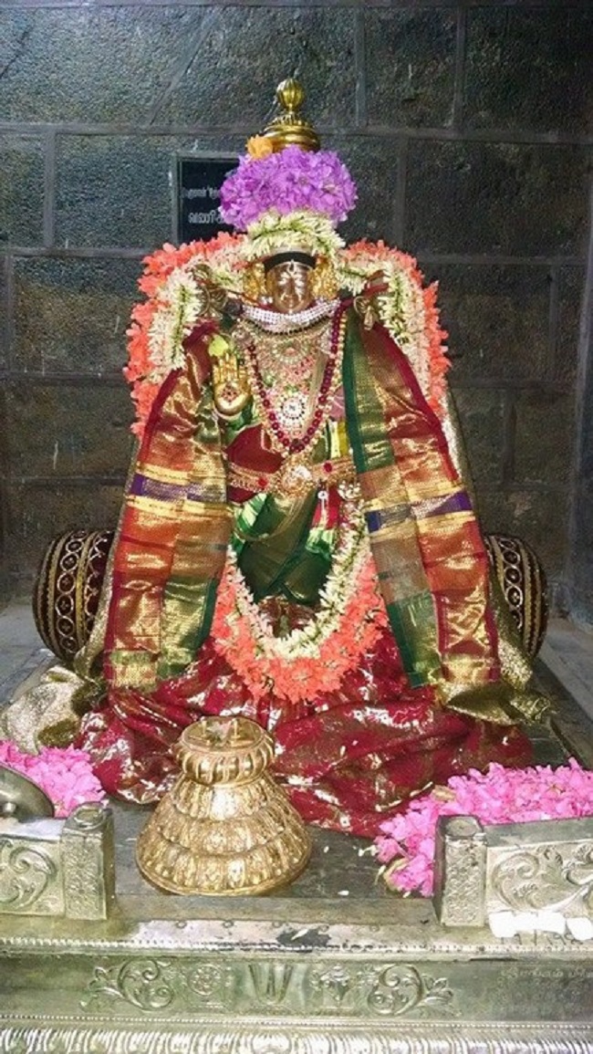Thiruvahindrapuram Sri Devanathan Perumal Temple Masi Masa Ammavasai Purappadu3