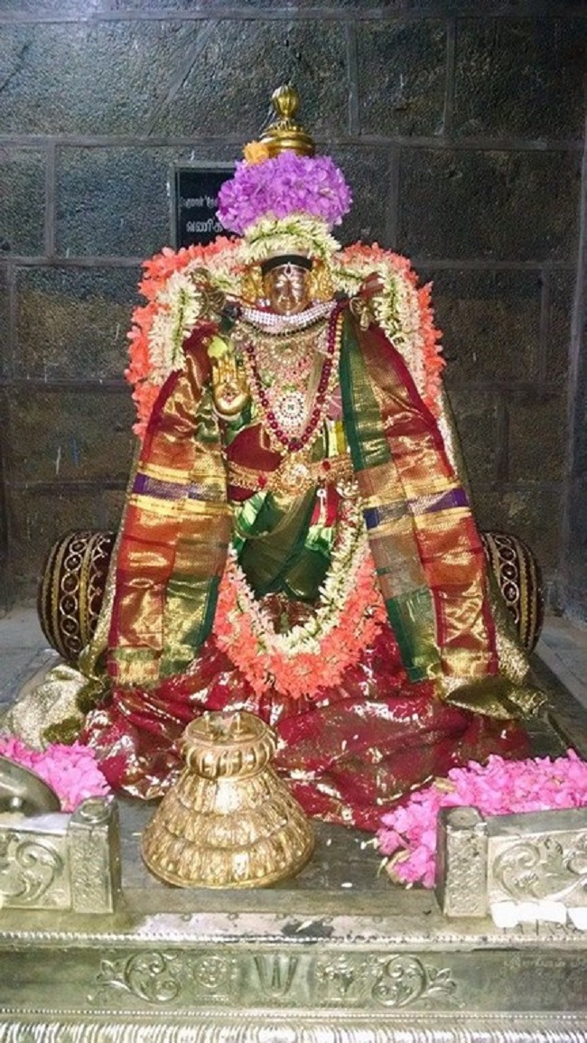 Thiruvahindrapuram Sri Devanathan Perumal Temple Masi Masa Ammavasai Purappadu5