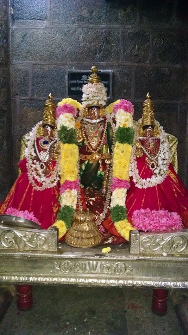 Thiruvahindrapuram Sri Devanathan Perumal Temple Masi Masa Pirappu Purappadu2