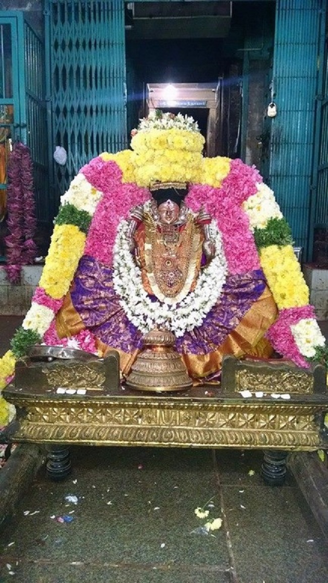 Thiruvahindrapuram Sri Devanathan Perumal Temple Masi Masa Pirappu Purappadu3