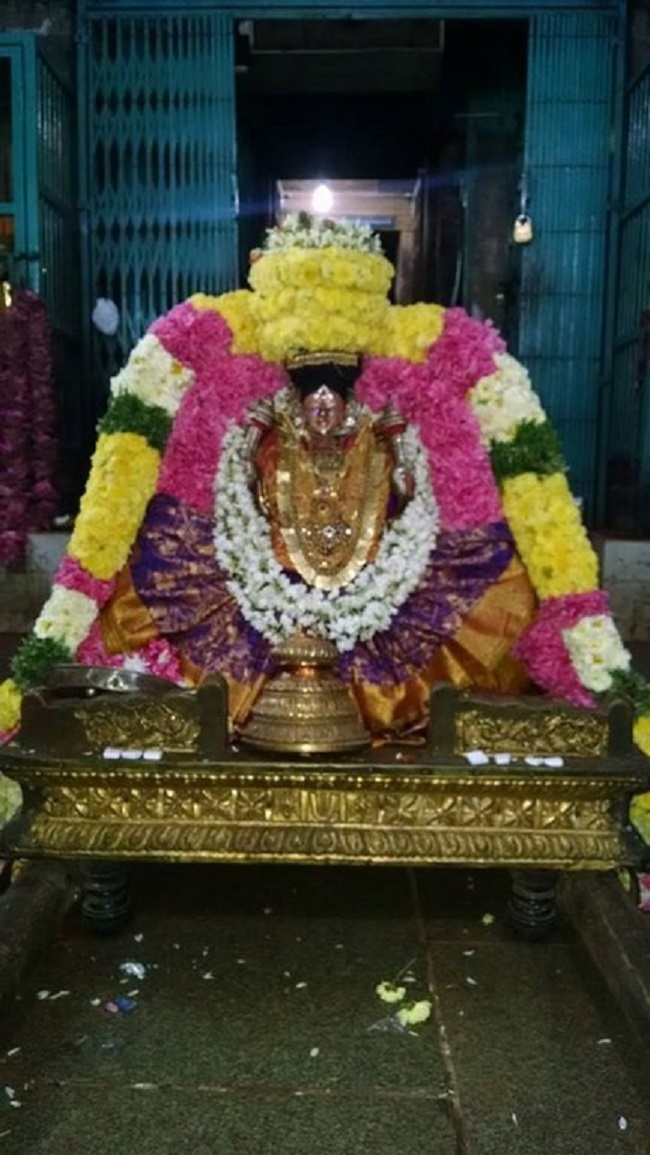 Thiruvahindrapuram Sri Devanathan Perumal Temple Masi Masa Pirappu Purappadu4
