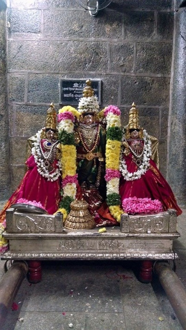 Thiruvahindrapuram Sri Devanathan Perumal Temple Masi Masa Pirappu Purappadu6