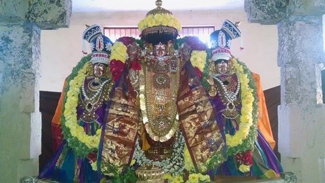 Thiruvahindrapuram Sri Devanathan Perumal Temple Rathasapthami Purappadu1