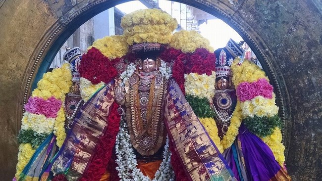 Thiruvahindrapuram Sri Devanathan Perumal Temple Rathasapthami Purappadu2