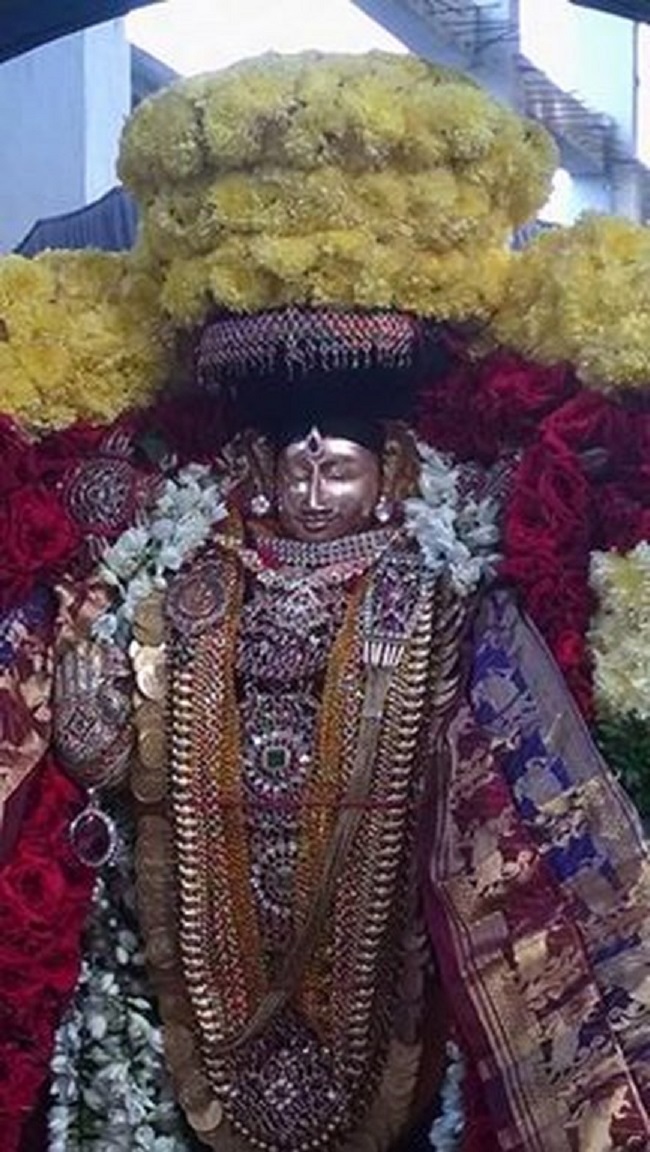 Thiruvahindrapuram Sri Devanathan Perumal Temple Rathasapthami Purappadu4
